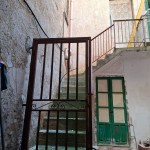 b81d2e0d-080b-4af5-aeb9-592b2bc96c21