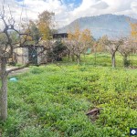 1f45340c-1476-45ca-b1b7-7e744588f2ea