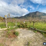 50670424-48c6-428d-87e8-c81e7461b522