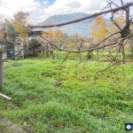 97dfdefe-6df8-454e-a2bd-a7bf1aaa7e42