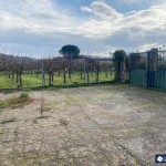 d29d8d12-c675-4e04-81d6-354a709c2961