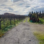 f4948dfc-69ad-4763-91b2-8b9af4568e34